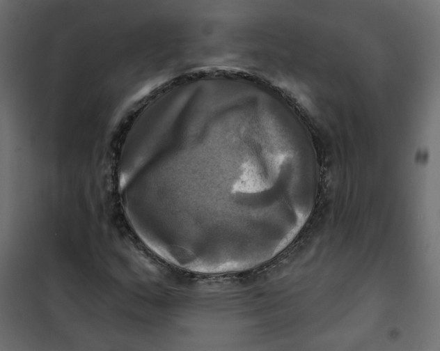 X0000102021159200808081741