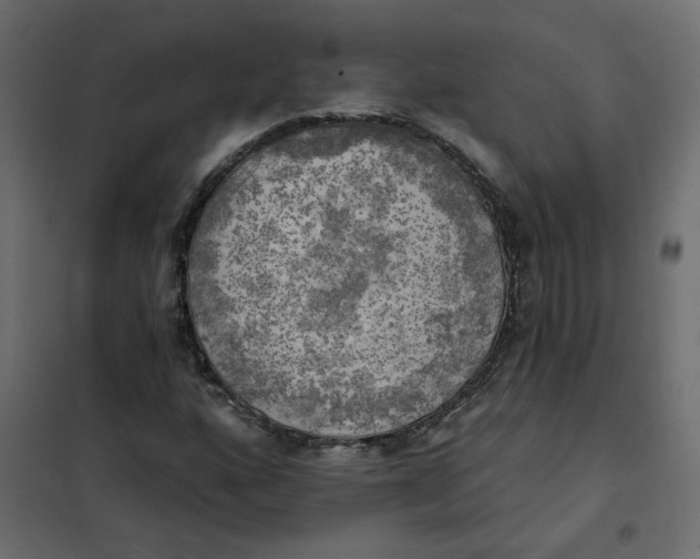 X0000102021160200808081741