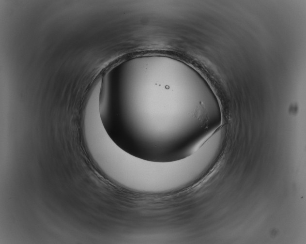 X0000102021161200808081741
