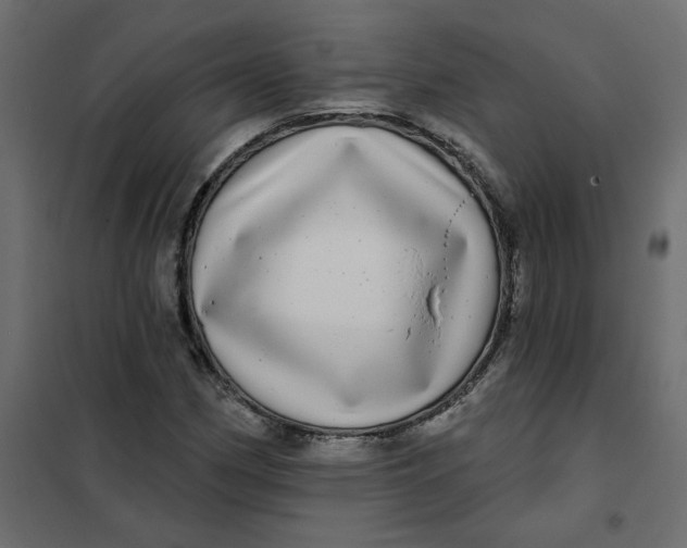 X0000102021162200808081741