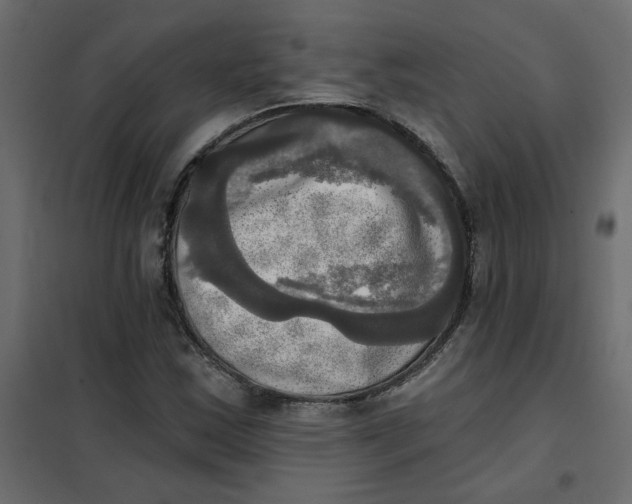 X0000102021163200808081741