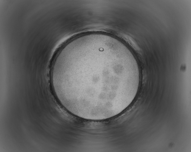 X0000102021164200808081741