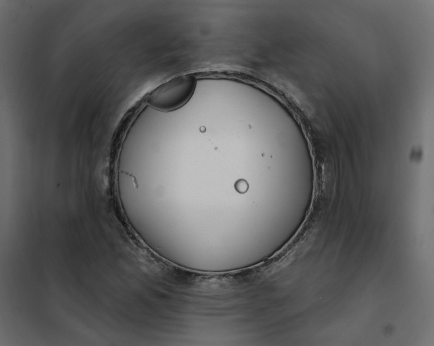 X0000102021165200808081741