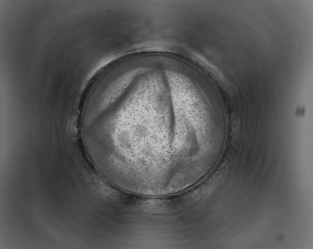 X0000102021166200808081741