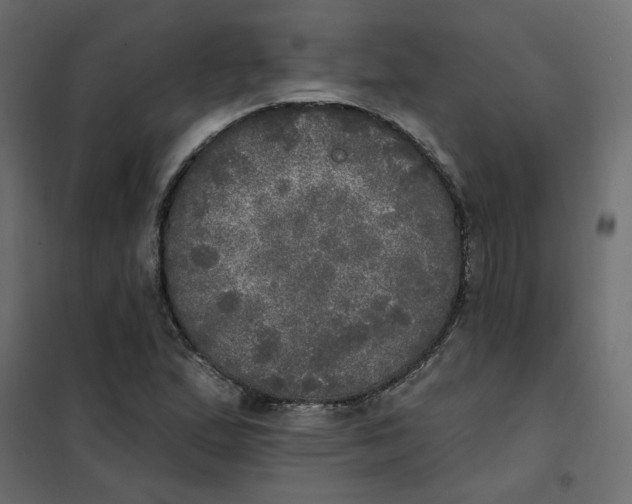 X0000102021167200808081741