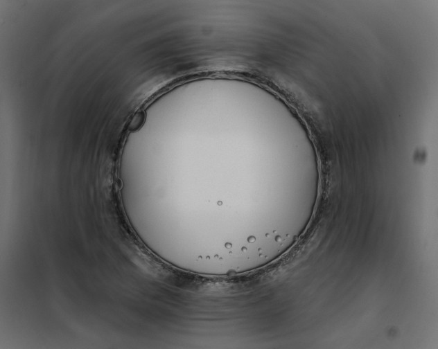 X0000102021169200808081741