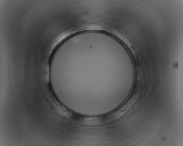 X0000102021171200808081741