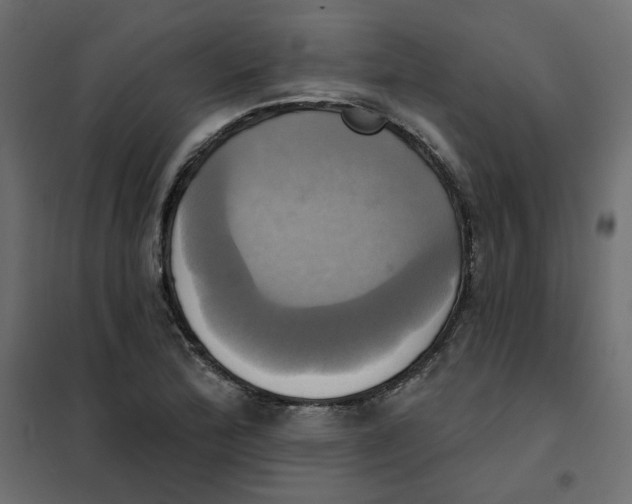 X0000102021172200808081741