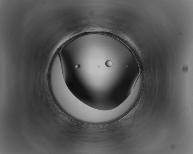 X0000102021173200808081741