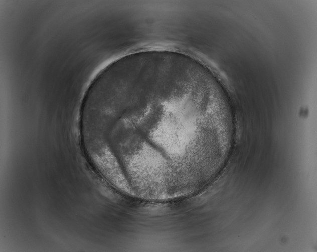 X0000102021174200808081741