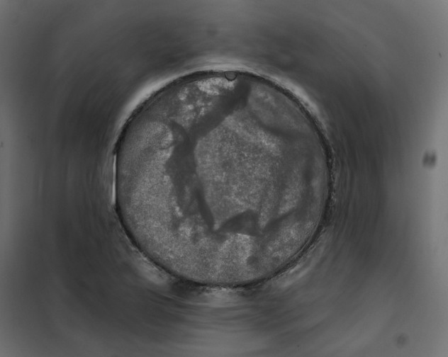 X0000102021175200808081741
