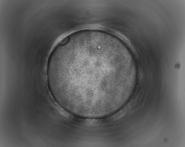X0000102021176200808081741