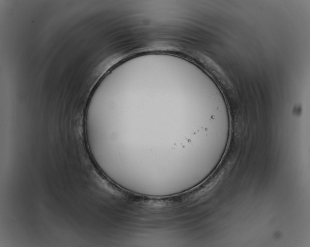 X0000102021177200808081741