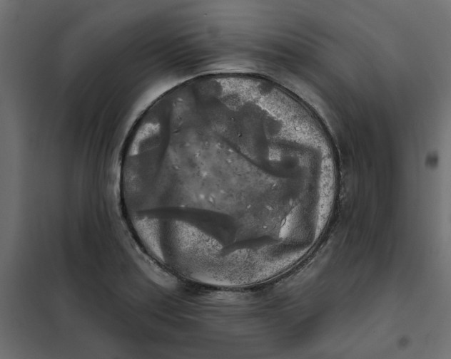 X0000102021179200808081741