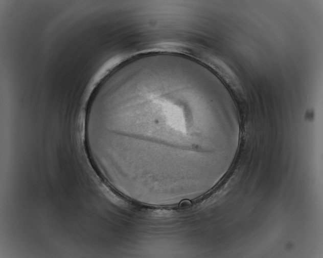 X0000102021180200808081741