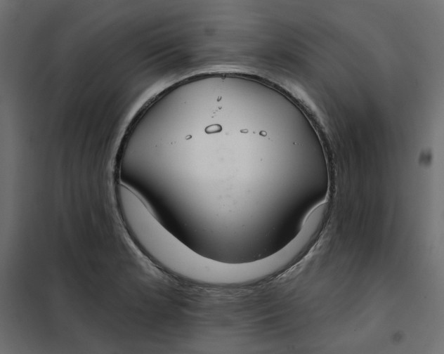 X0000102021181200808081741