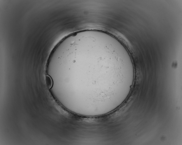 X0000102021182200808081741
