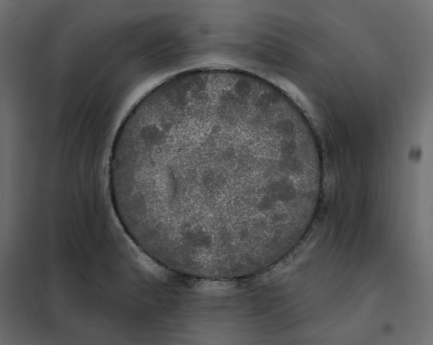X0000102021183200808081741