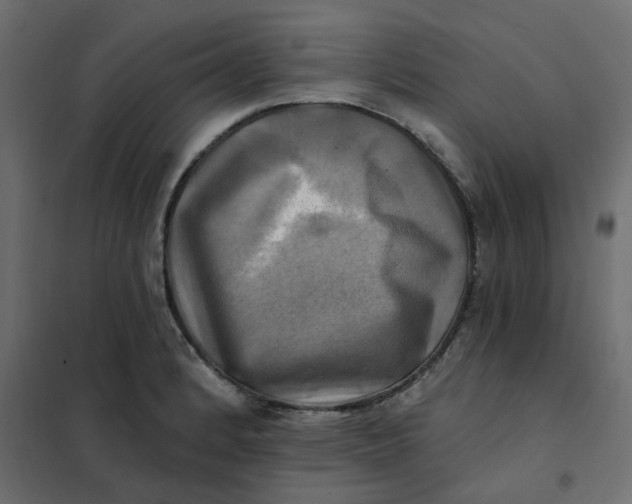 X0000102021184200808081741