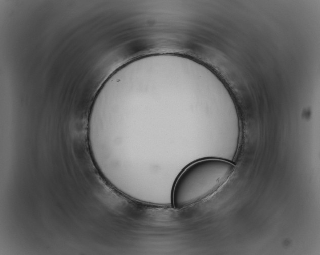 X0000102021185200808081741