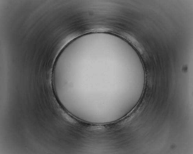 X0000102021186200808081741