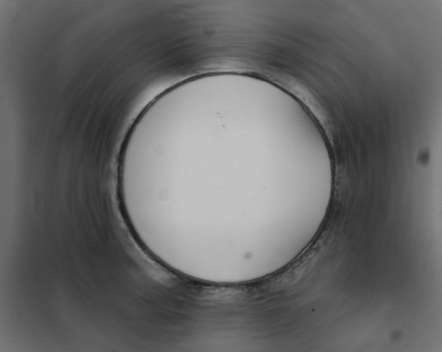 X0000102021187200808081741