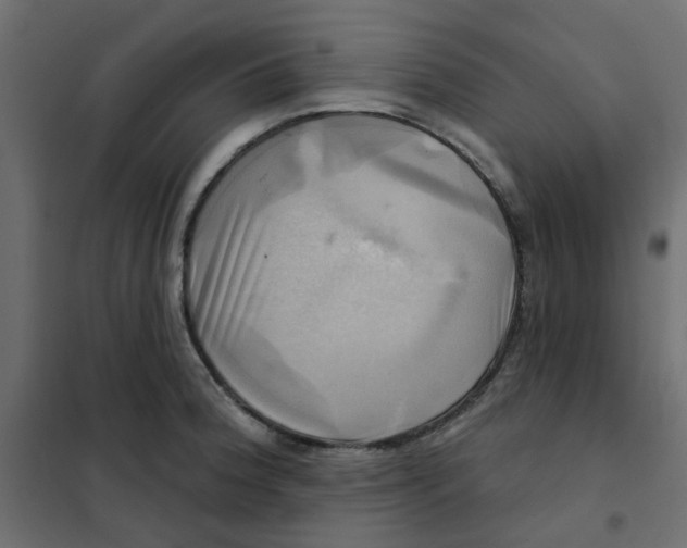 X0000102021188200808081741