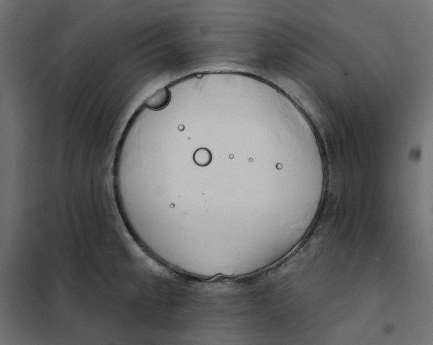 X0000102021189200808081741