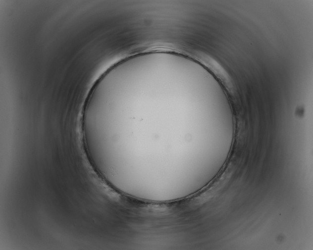 X0000102021190200808081741