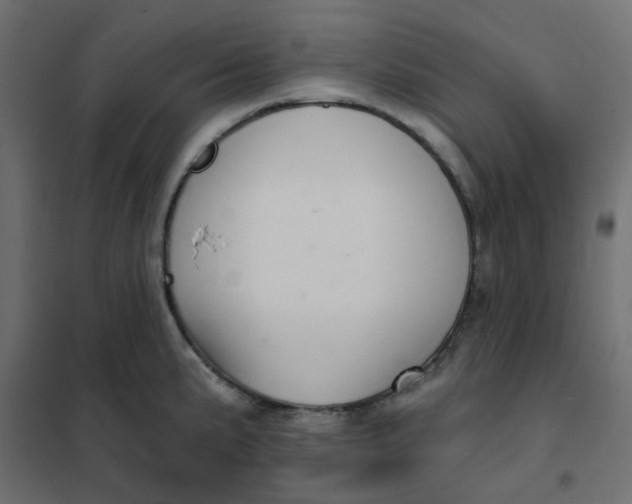 X0000102021191200808081741