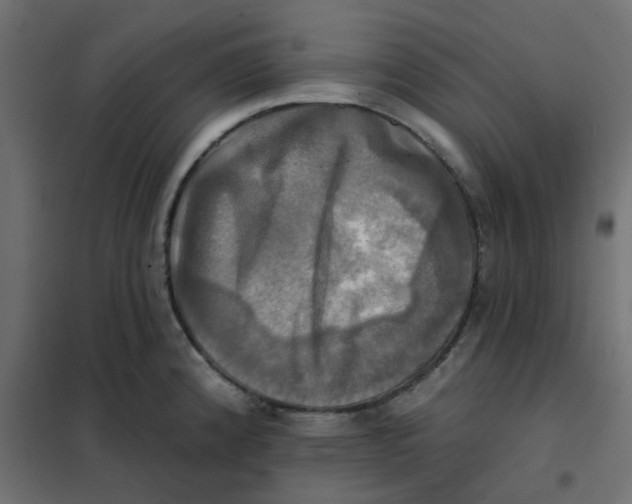 X0000102021192200808081741