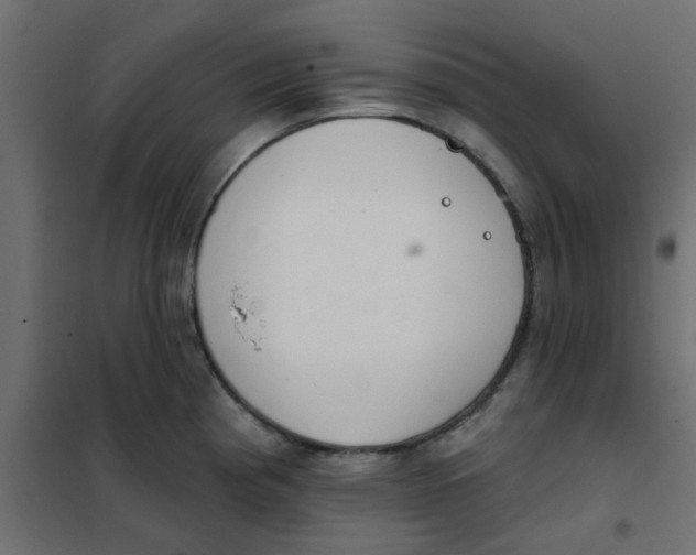 X0000102021193200808081741