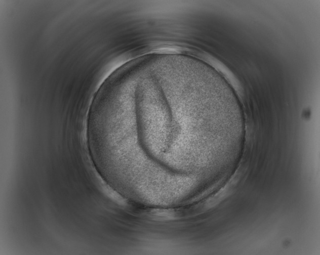 X0000102021194200808081741