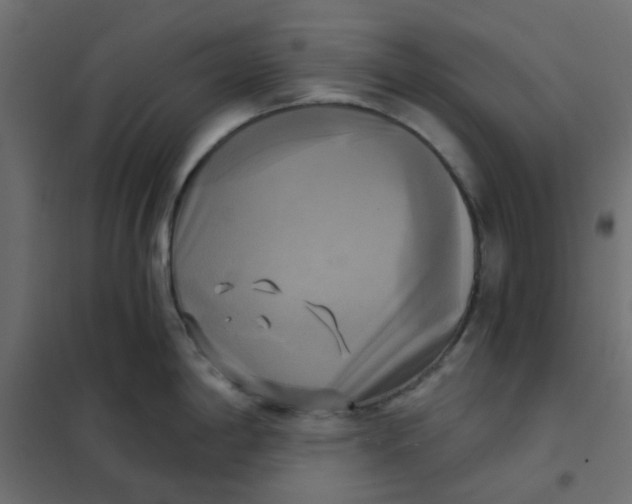 X0000102021198200808081741