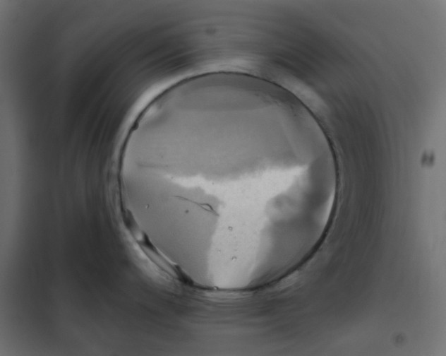 X0000102021200200808081741