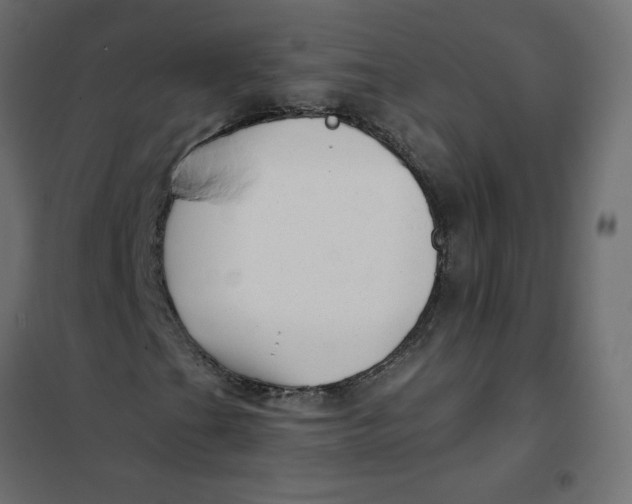 X0000102021201200808081740