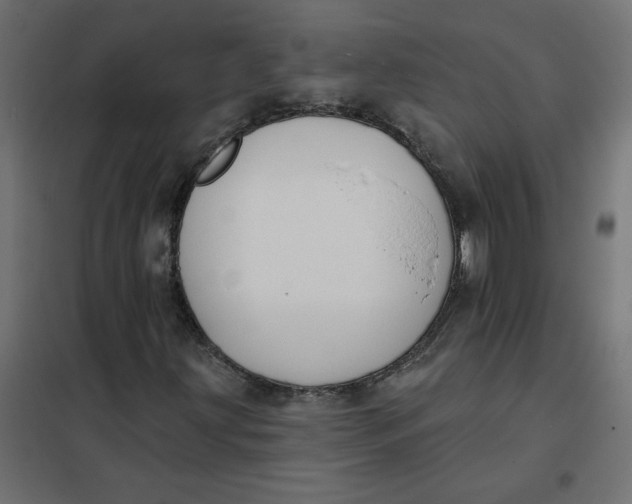 X0000102021203200808081740