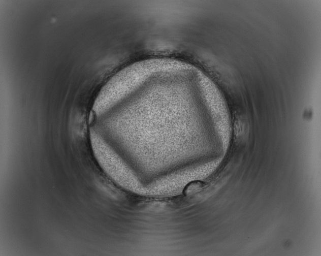 X0000102021204200808081740