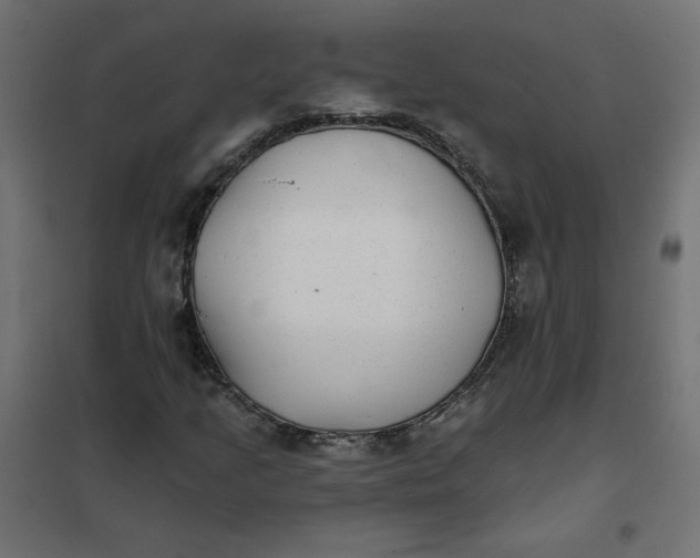 X0000102021205200808081740