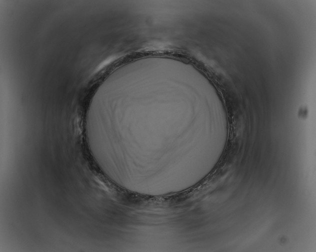 X0000102021206200808081740