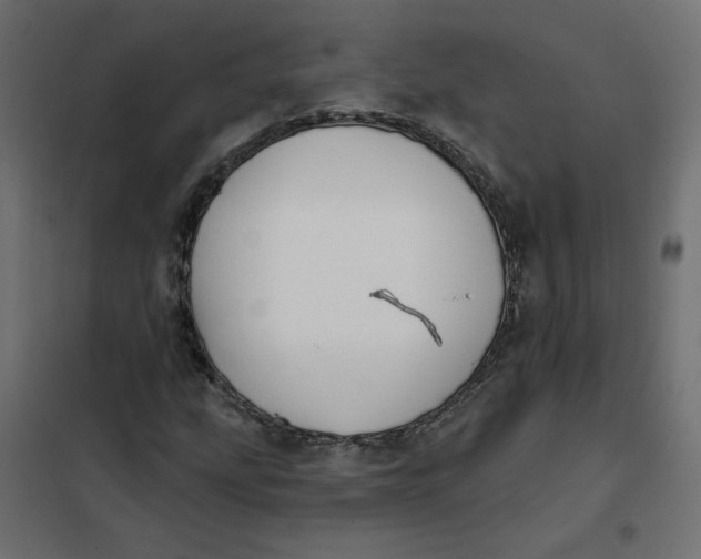 X0000102021207200808081740