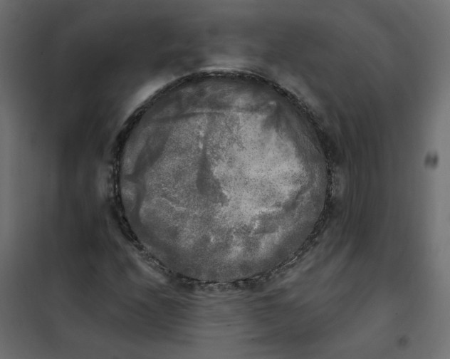 X0000102021208200808081740
