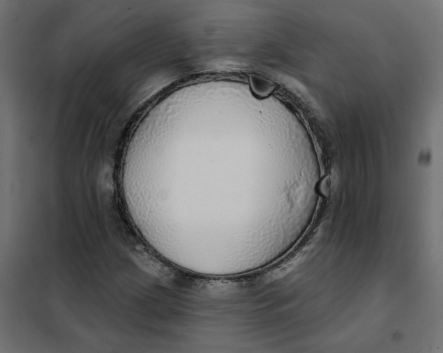 X0000102021209200808081740