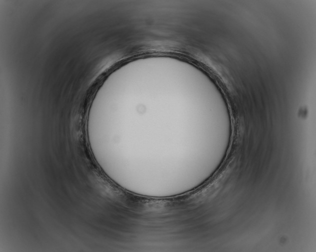 X0000102021211200808081740