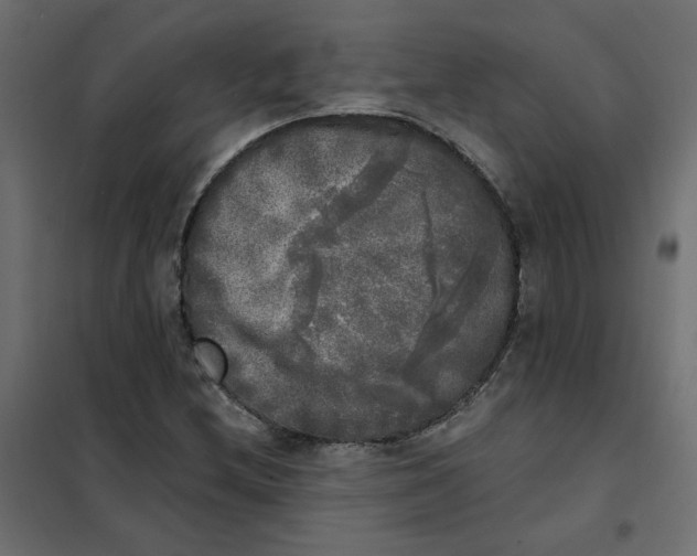 X0000102021212200808081740