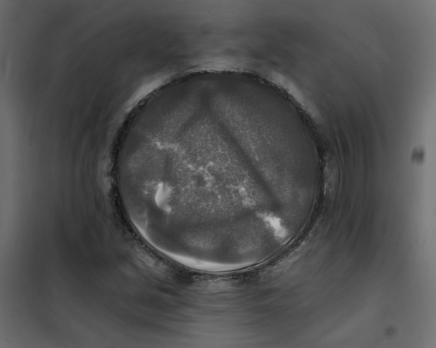 X0000102021213200808081740