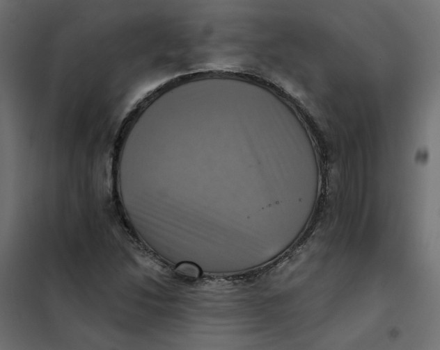 X0000102021214200808081740