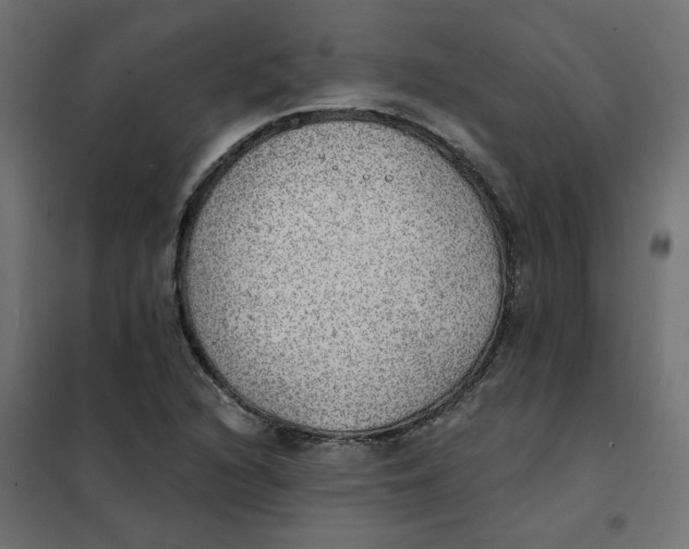 X0000102021216200808081740