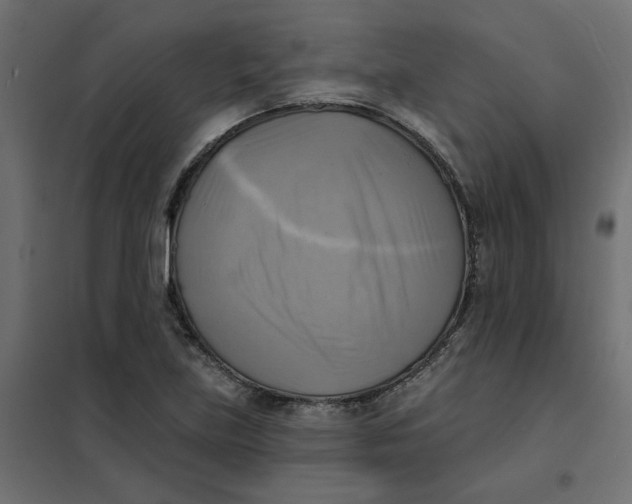 X0000102021219200808081740