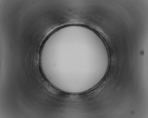 X0000102021220200808081740